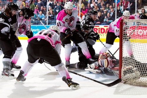 Photo Courtesy of Scott Paulus