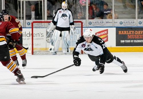 STE-BullinChinaShoppe