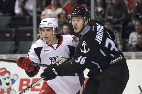 (Photo Credit: Mark Newman)