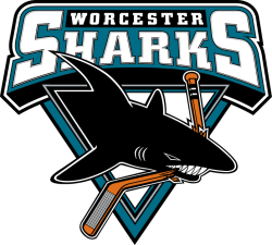 Worchester Sharks