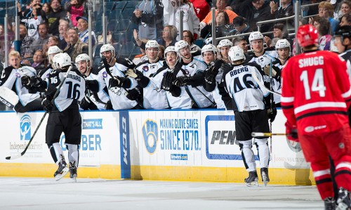 (Photo Credit: Scott Paulus)