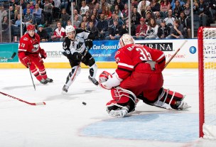 (Photo Credit: Scott Paulus)