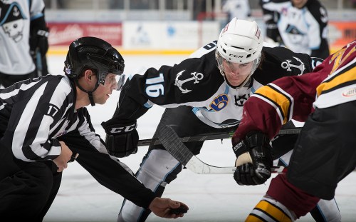 (Photo Credit: Scott Paulus)