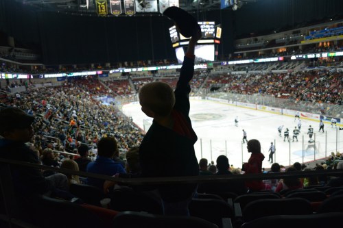 (Photo Credit: Iowa Wild // flickr)