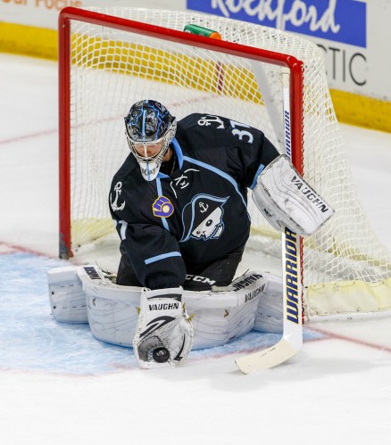 (Photo Credit: Rockford IceHogs // flickr)