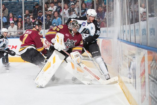 (Photo Credit: Scott Paulus)