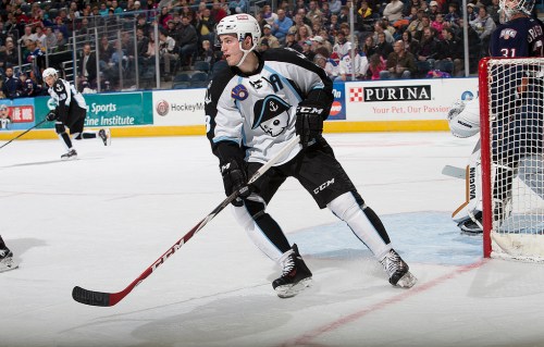 (Photo Credit: Scott Paulus)