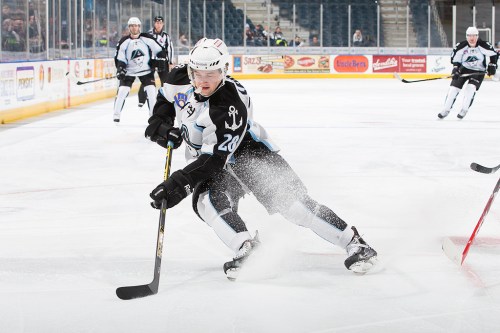 (Photo Credit: Scott Paulus)