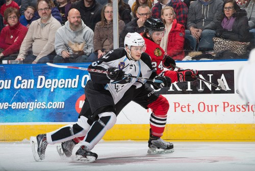 (Photo Credit: Scott Paulus)