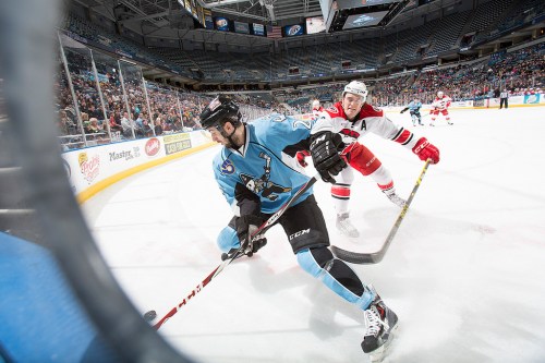 (Photo Credit: Scott Paulus)