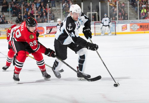 (Photo Credit: Scott Paulus)