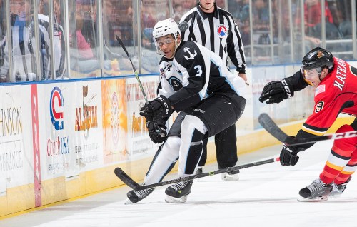 (Photo Credit: Scott Paulus)