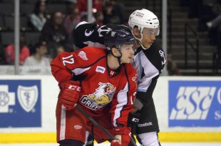 (Photo Credit: Mark Newman)