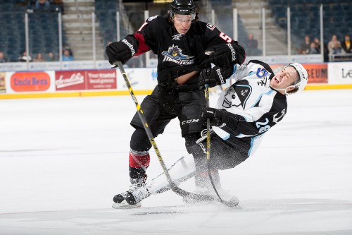 (Photo Credit: Scott Paulus)