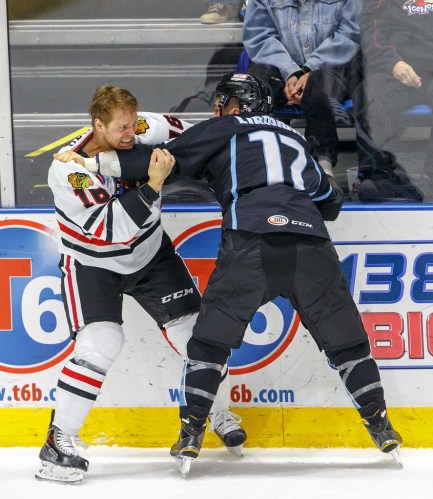 (Photo Credit: Greg Hamil)