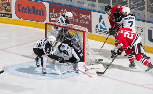 (Photo Credit: Scott Paulus)