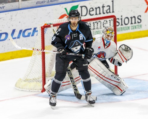 (Photo Credit: Rockford IceHogs // flickr)