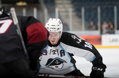 (Photo Credit: Scott Paulus)