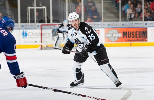 (Photo Credit: Scott Paulus)