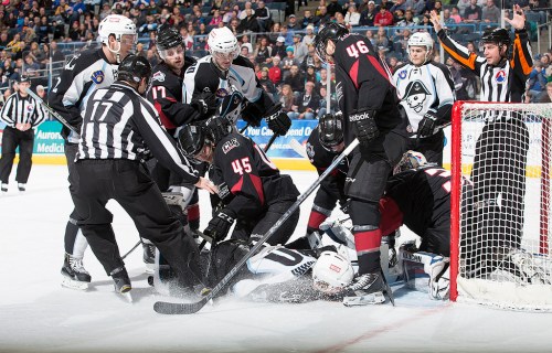 (Photo Credit: Scott Paulus)