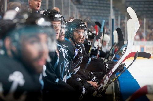 (Photo Credit: Scott Paulus)