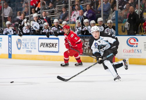 (Photo Credit: Scott Paulus)