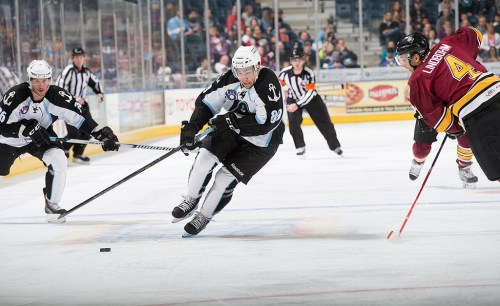 (Photo Credit: Scott Paulus)