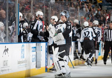 (Photo Credit: Scott Paulus)