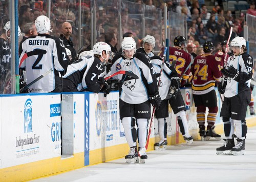 (Photo Credit: Scott Paulus)