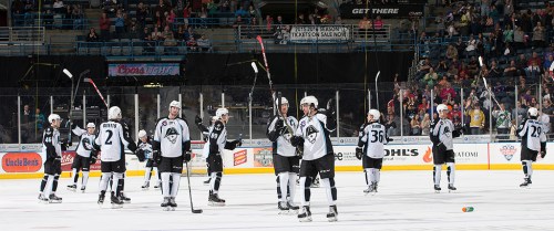 (Photo Credit: Scott Paulus)