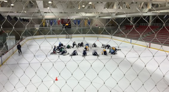 (Photo Credit: Daniel Lavender)