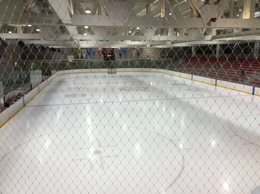 (Photo Credit: Daniel Lavender)