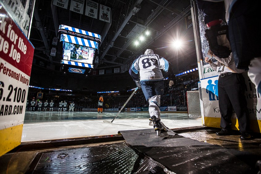 (Photo Credit: Scott Paulus)