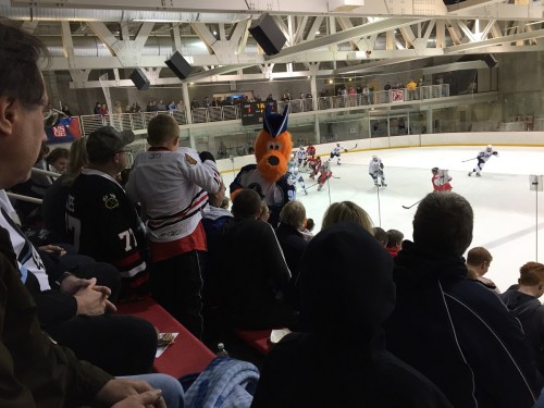 (Photo Credit: Daniel Lavender)