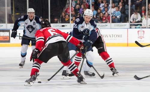 (Photo Credit: Scott Paulus)