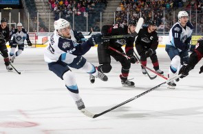 (Photo Credit: Scott Paulus)