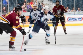 (Photo Credit: Scott Paulus)