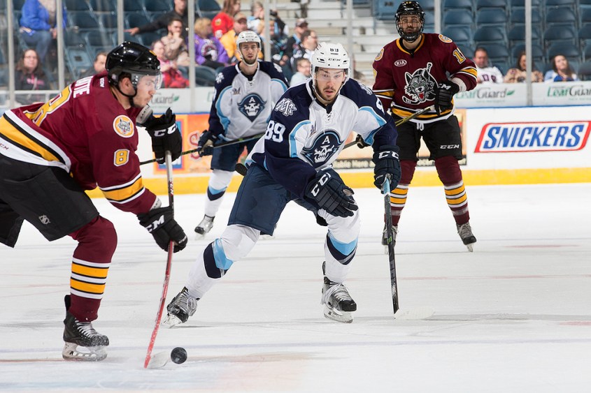 (Photo Credit: Scott Paulus)