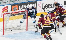 (Photo Credit: Scott Paulus)