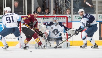 (Photo Credit: Scott Paulus)