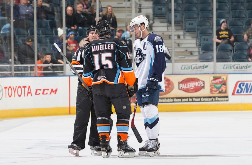 (Photo Credit: Scott Paulus)