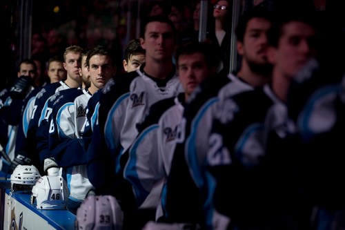 (Photo Credit: Scott Paulus)