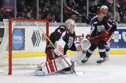 (Photo Credit: Mark Newman)