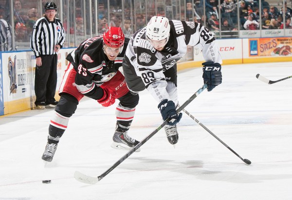 (Photo Credit: Stephanie Moebius)