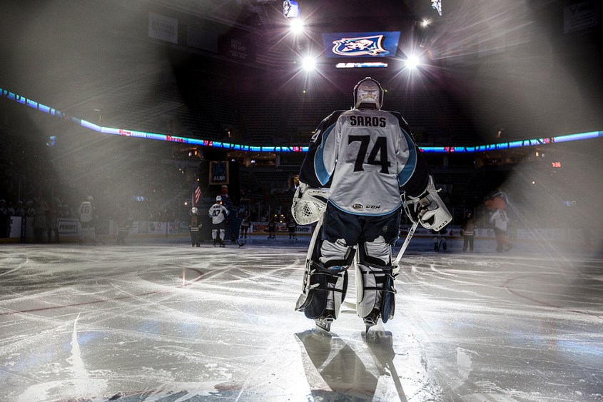 (Photo Credit: Scott Paulus)