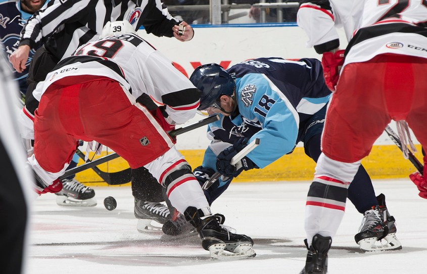 (Photo Credit: Scott Paulus)