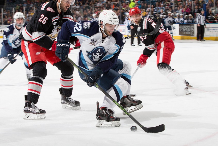 (Photo Credit: Scott Paulus)