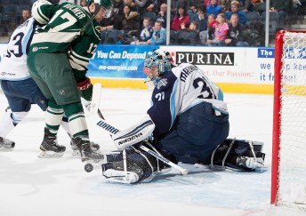 (Photo Credit: Scott Paulus)