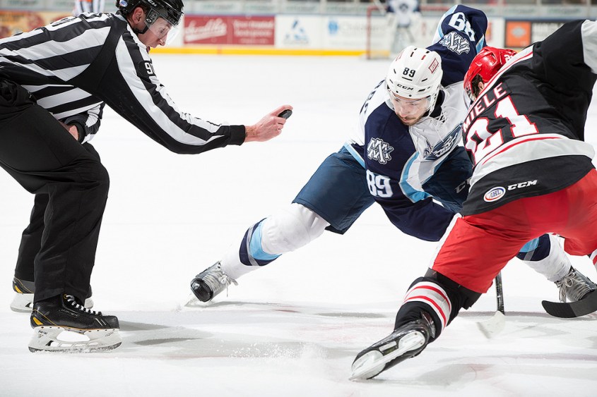 (Photo Credit: Scott Paulus)