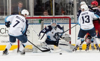 (Photo Credit: Scott Paulus)